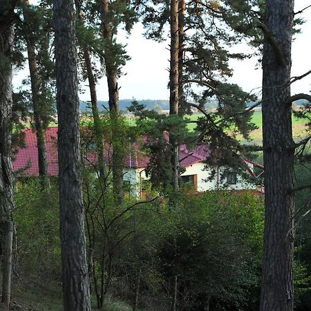 Rasarit de Soare Hotel Rotbav Exterior foto